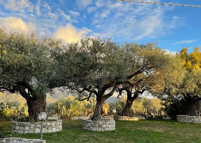 Il Giardino Di Rocco