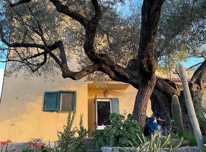 Il Giardino Di Rocco Casa vacanze Badolato Marina